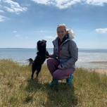 Puppy Training in Chichester