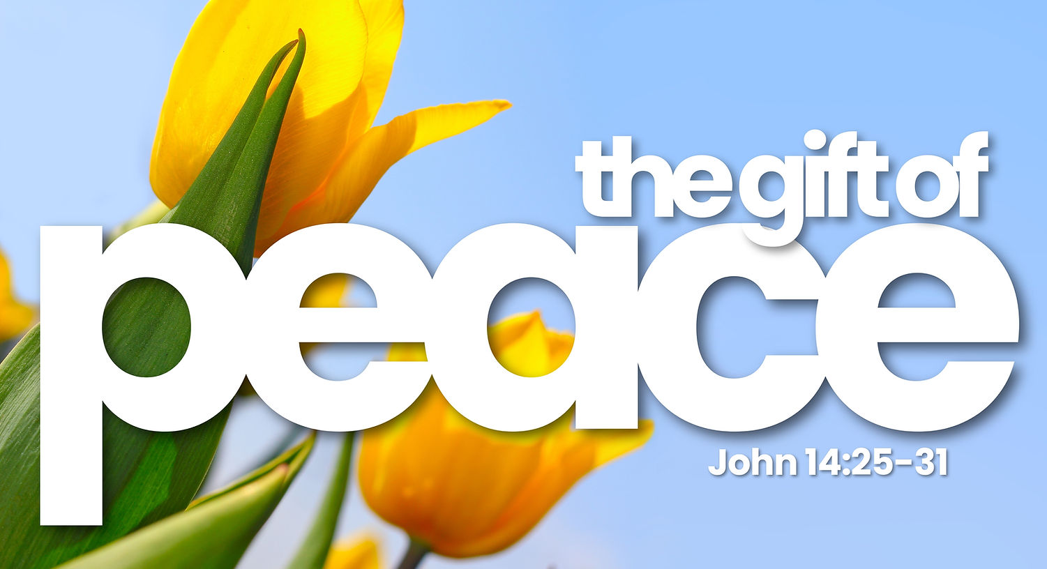 SUNDAY SERMON GRAPHICS (1).jpg