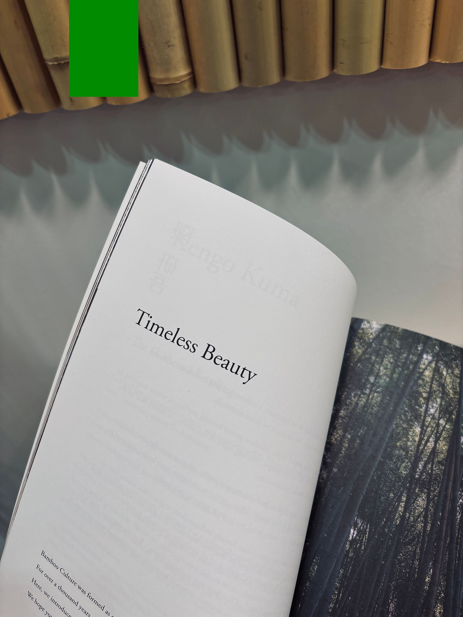 Timeless Beauty