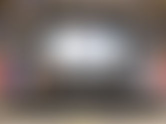 ეკატერინე მიქაბაძემ BARTA 2025-ის ფარგლებში გამართულ პანელურ დისკუსიაში მიიღო მონაწილეობა