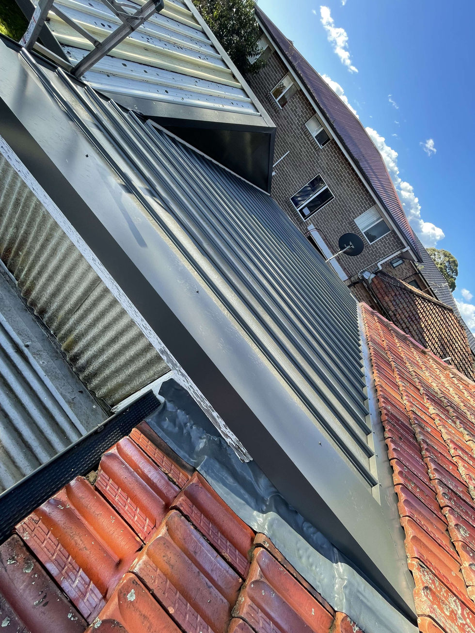 colorbond roofing kingsgrove