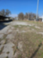 20260310_160822.jpg
