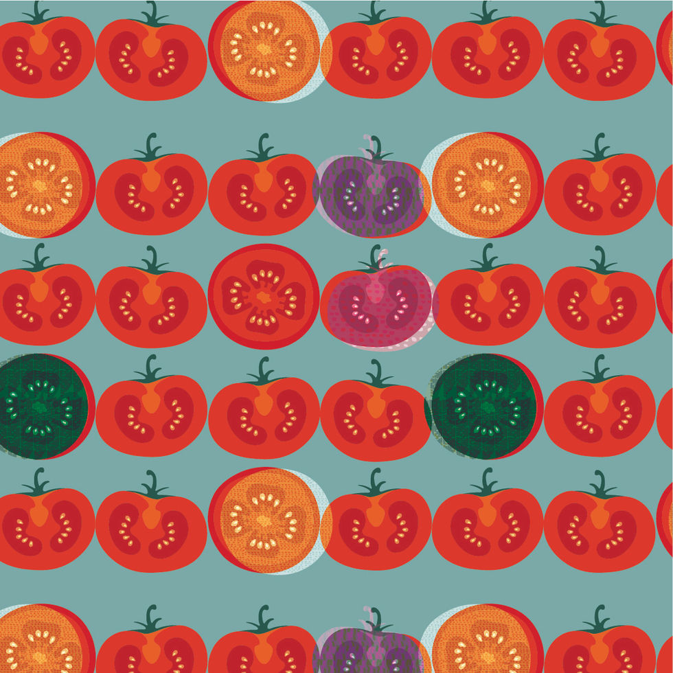 TOMATO DESIGN
