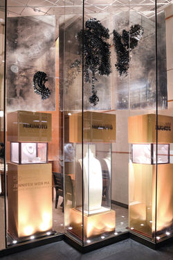 Paradise Interrupted: Disintegration