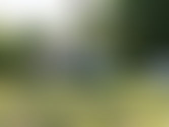 Another One Under Agreement!