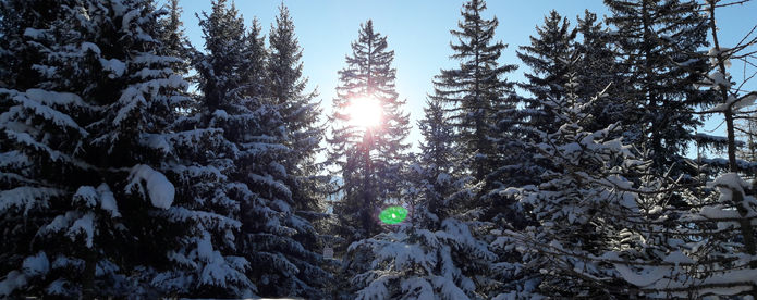 Winterwonderland.jpg