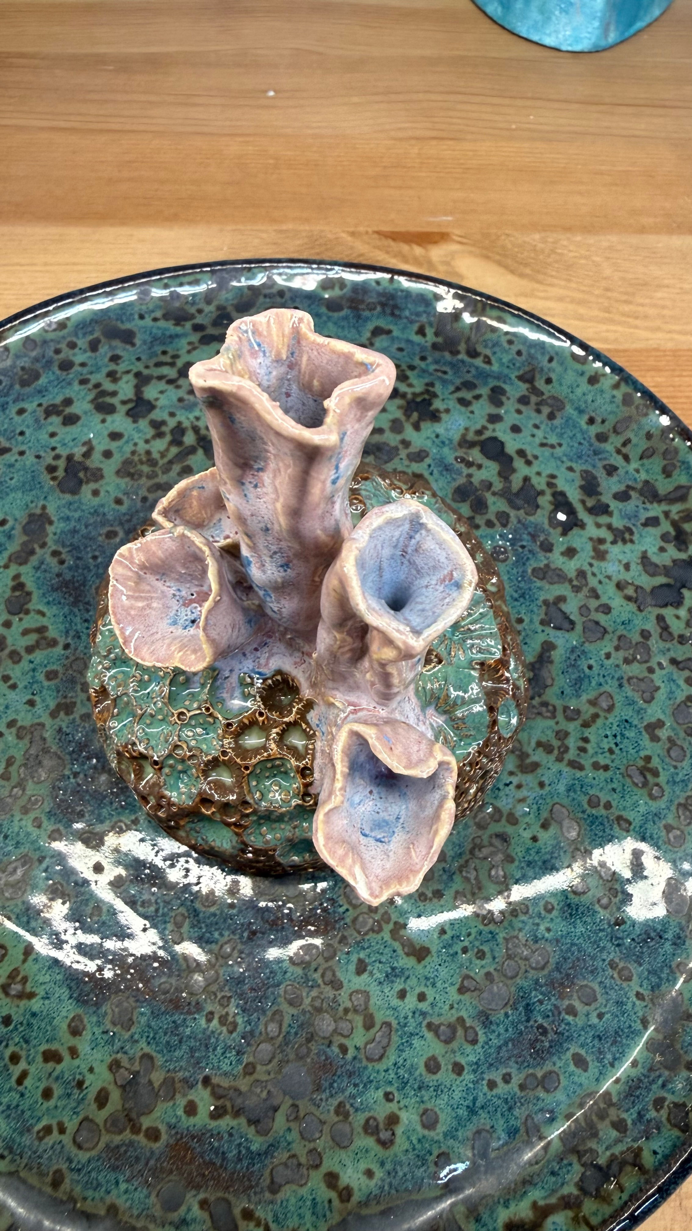 Coral #11
