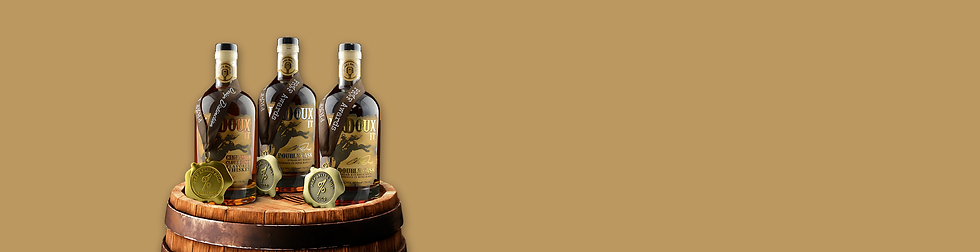 LeDoux Website Banners (8).png