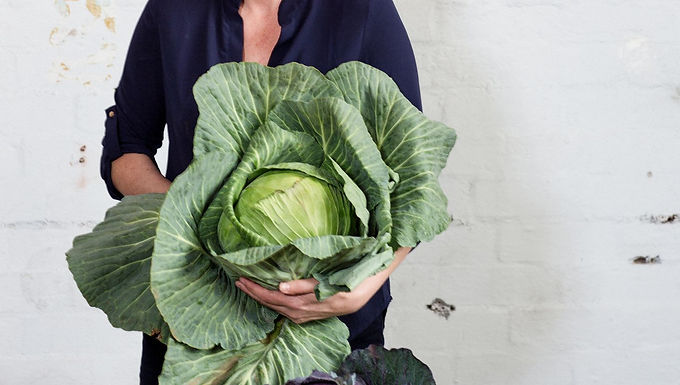 Episode 59: Home Fermenting Demystified