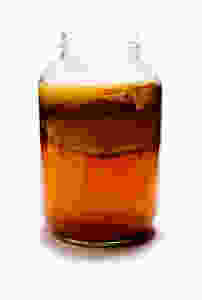 409AE0ED-58A4-41D8-AA65-7EE83FF6948D_4_5005_c
