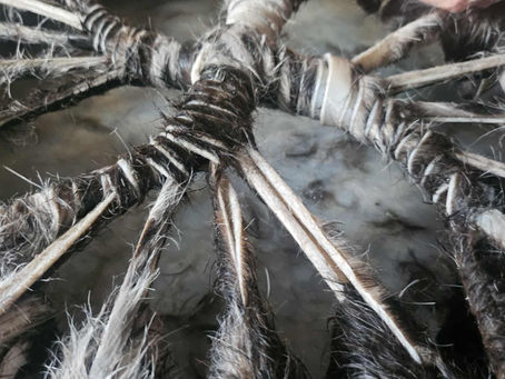 TRUE BALANCE, TRUE CONNECTION: Birthing my Womb Drum part 2 - astrological and symbolic energies surrounding the birthing of Bea (Beautiful Beast).