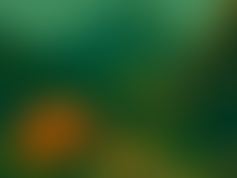 Level 5: Systemized - The ArchiTECH Ascent