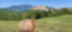 Colli view enhanced.JPG