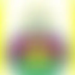 YogAshis Registered with IYO International Yoga Organisation