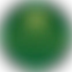 YOGTATVAH Registered with IYO International Yoga Organisation