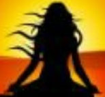 Shiva Yoga & Wellness Studio Registered with IYO International Yoga Organisation