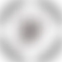 Abhyasa Yogshala Registered with IYO International Yoga Organisation