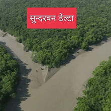 भूगोलः भारत : मृदा, वनस्पति एवं वन्य जीव