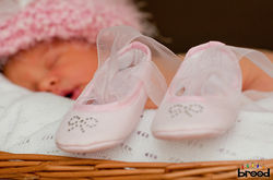 376_FotosSiteBrood_AP