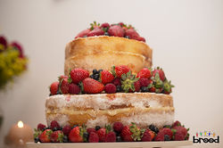 002_FotosSiteBrood_MP