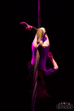 077_FotosSiteBrood_MP