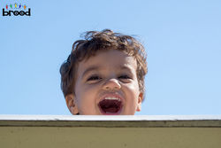 200_FotosSiteBrood_AP