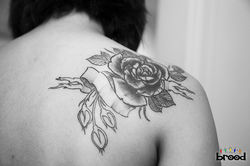 650_FotosSiteBrood_MP