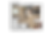 Untitled design (6).png