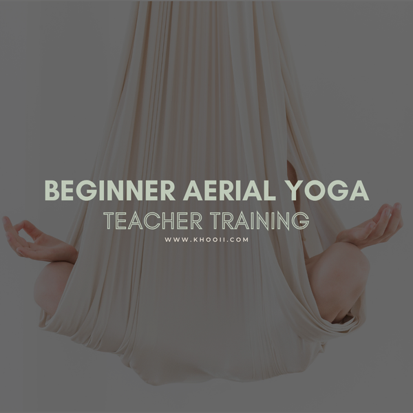 a poster for beginner aerial yoga teacher training