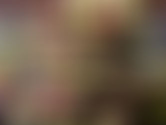 RECIPE: Pistachio & Cherry Chocolate Bark