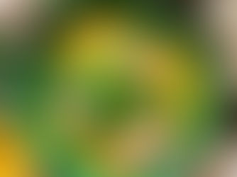 RECIPE: Ginger Turmeric Chicken Soup