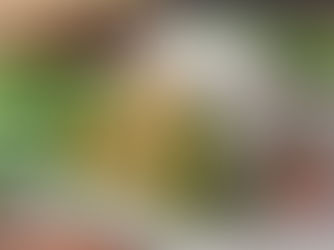 RECIPE: Chickpea Salad Wraps