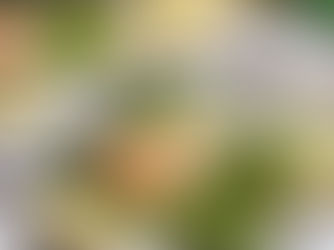 RECIPE: Lemon Garlic Salmon with Asparagus