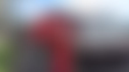 Aceville Transportes investe mais de R$ 10 milhões e fortalece operação em São Paulo com nova gestão e ampliação de frota