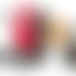 Onde posso contratar transporte de carga fracionada em Joinville para o Paraná, São Paulo, Rio Grande do Sul, Goiás e Sul de Minas?