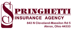springhetti logo