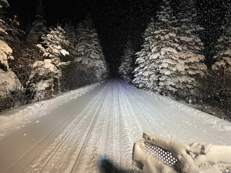 Grooming Update - Feb 6, 2022
