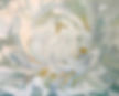 Peony