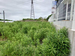 雲仙市愛野町モデルハウス5号棟｜モデルハウス横の土地を草刈りしました！