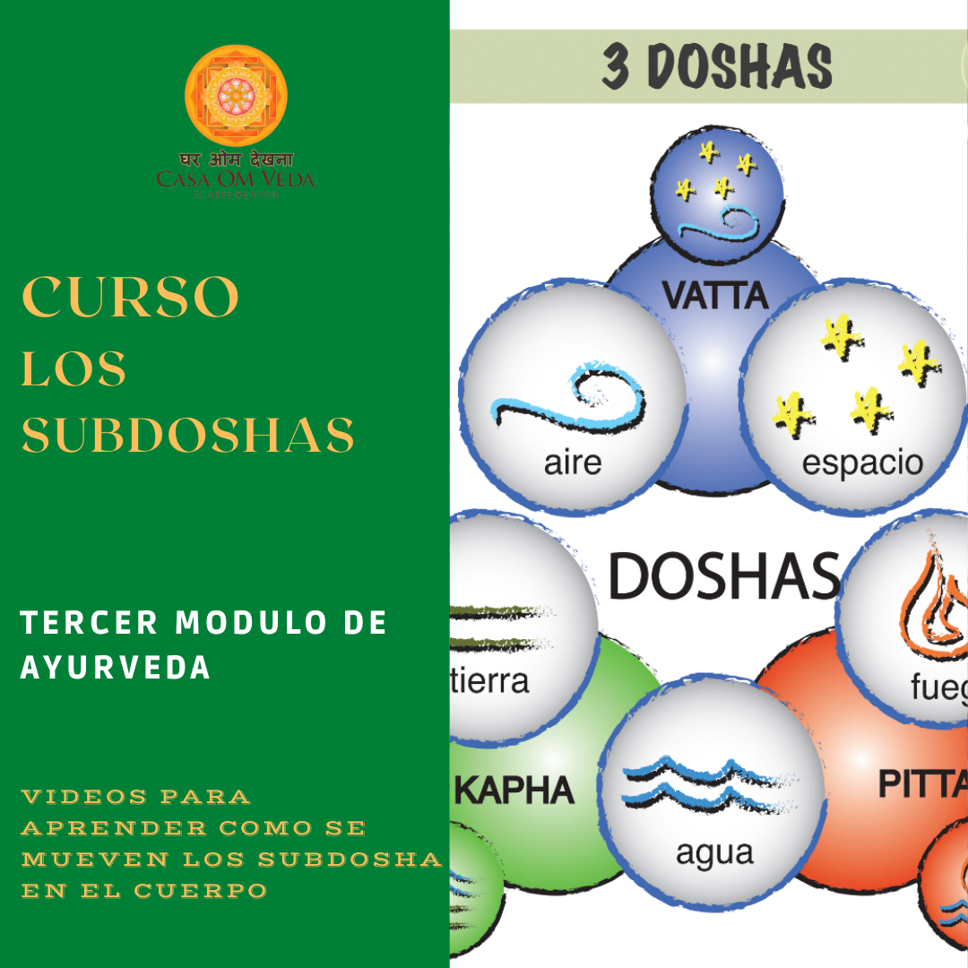 Curso de LosSubdoshas