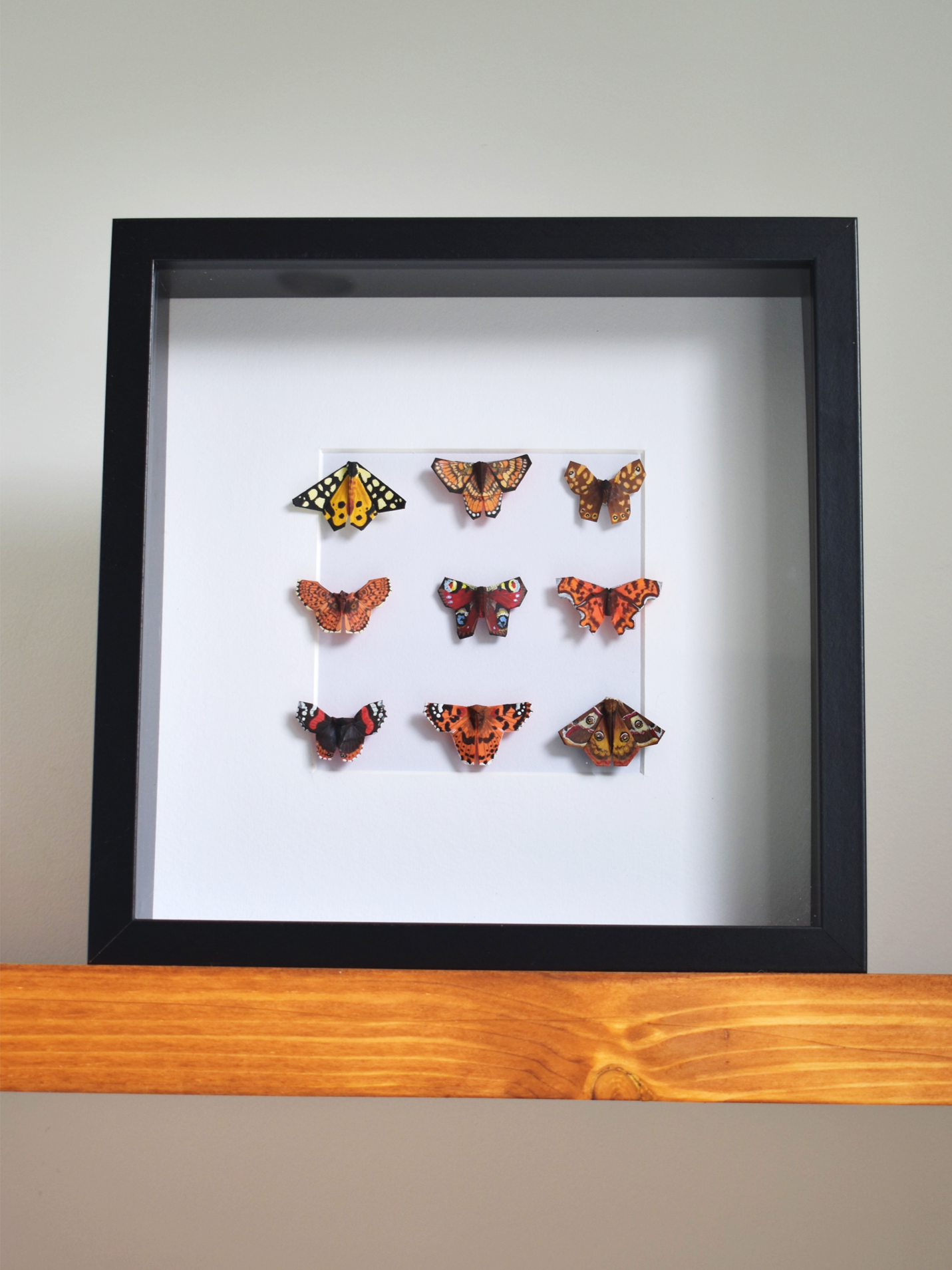 Autumnal Paper Butterfly and Moth Collection