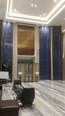 CURVE WALL PRC 6b. Shenzhen Zhong Zhou Lobby #6.jpg