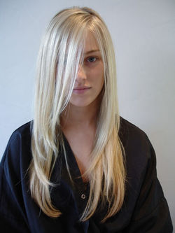 Highlights & Haircut by David