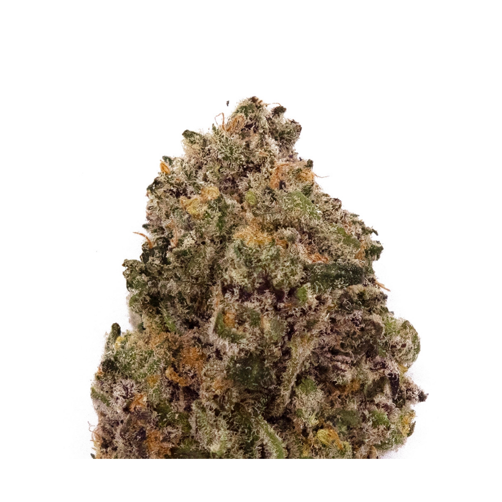 Gelato Candy Pop | INDICA