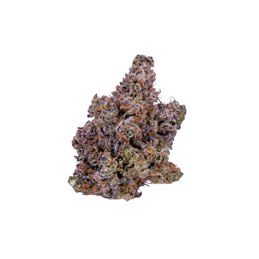 Biscotti Pippen | HYBRID