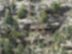 twiceeditedPXL_20220410_182700667-topaz-enhance-1.6x-sharpen.jpg
