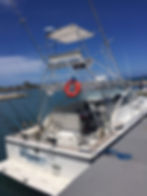 Mahi Mahi Fishing Tours