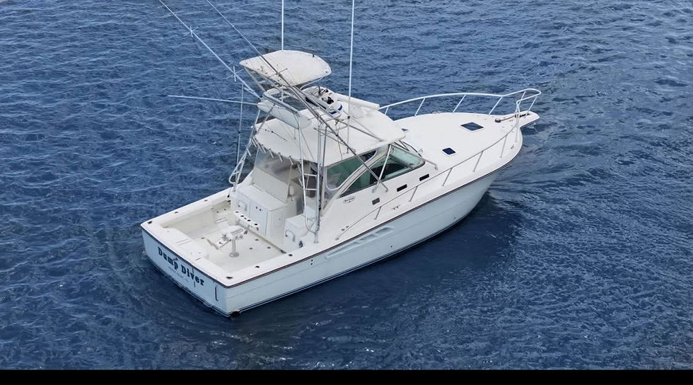 mahi mahi fishing charter