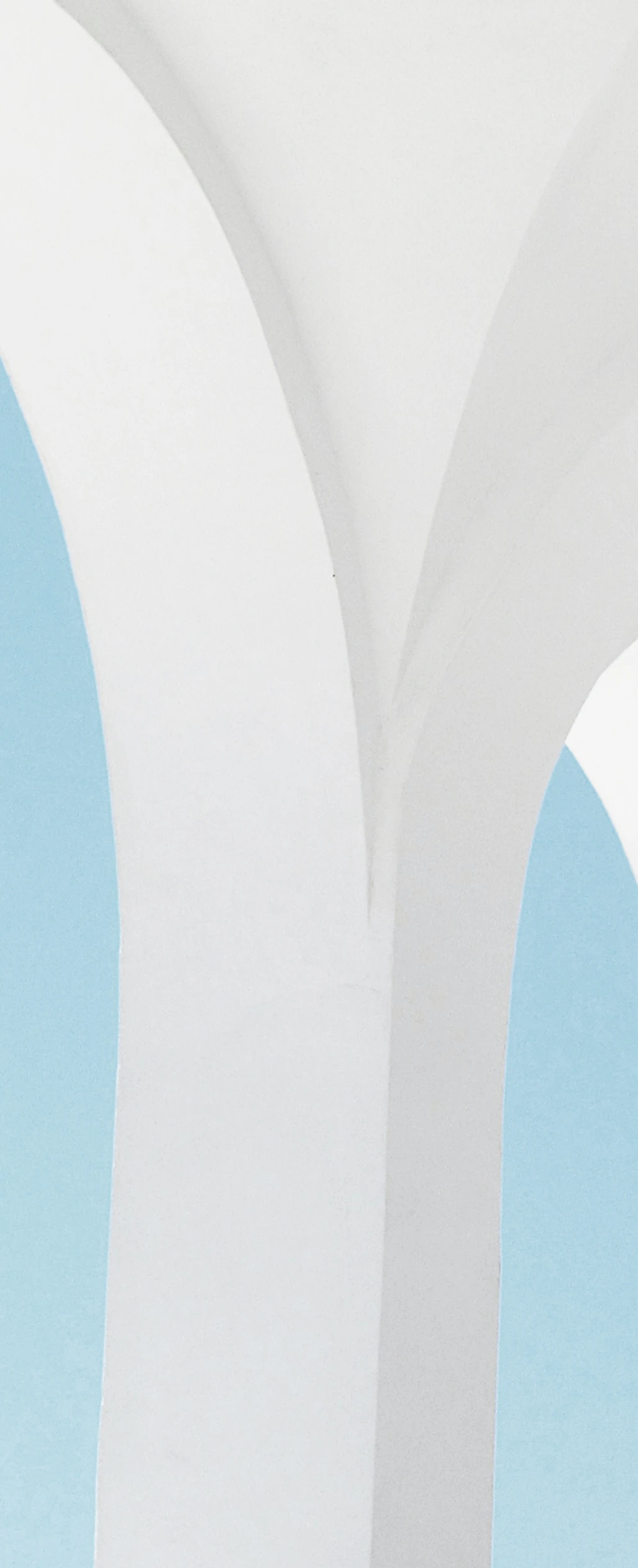 a3c153_bf99123fa4d448b799da4c5eb1390077_mv2.webp