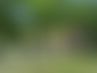 お散歩に行きました。